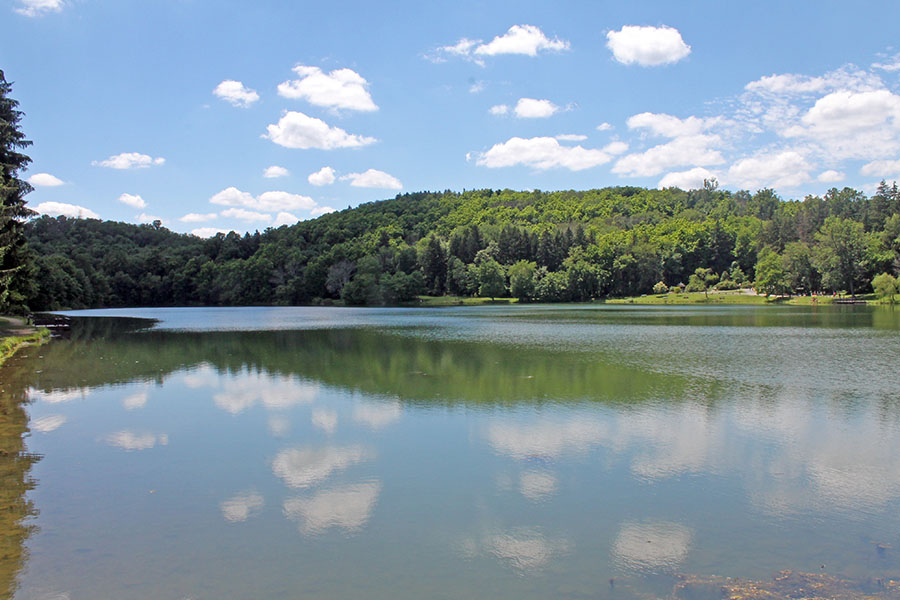 Contact - View of Calm Lake Surrounded by Green Foliage Against a Cloudy Blue Sky During the Summer